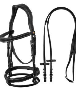 Testiera EQUESTRO anatomica
