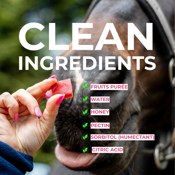 Fruit Jellies CANDY HORSE - immagine 4
