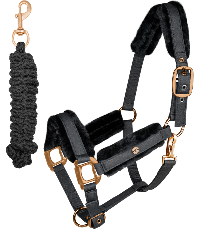 Capezza + lunghina Waldhausen Mod. Phoenix - immagine 2